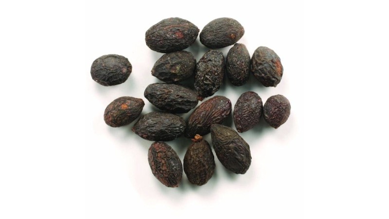 Μούρα Saw Palmetto