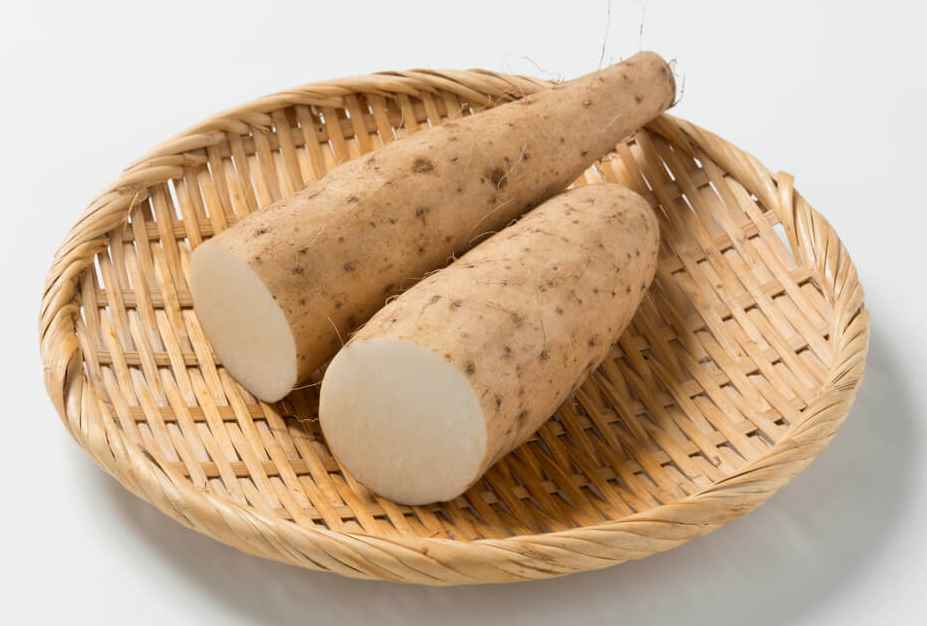 Ρίζες του φυτού Wild Yam