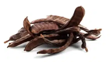 Χαρούπι